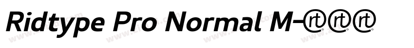 Ridtype Pro Normal M字体转换